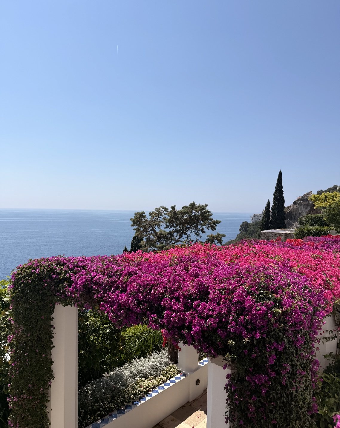 Bougainvillea-draped pergola overlooking the Mediterranean